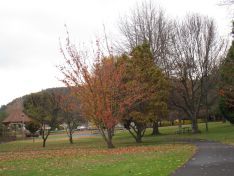 Lithgow photo 2
